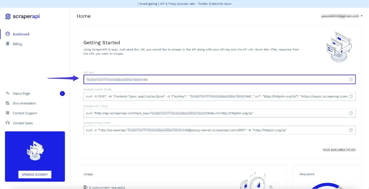 ScraperAPI key after signing up