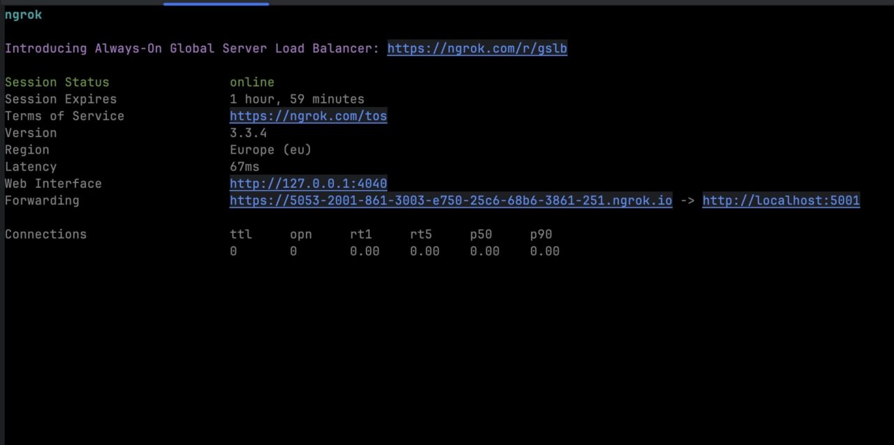 Ngrok server information on the terminal