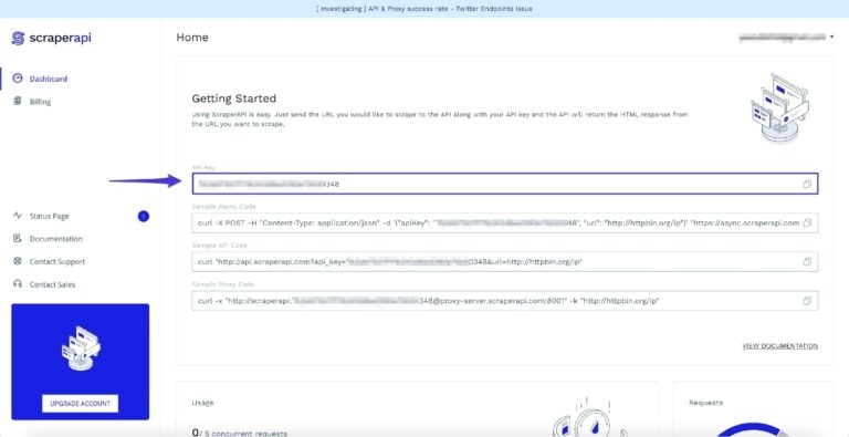 ScraperApi getting started dashboard page